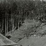 Lísková, Haselbach