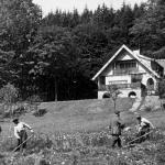 Bystřice, Fichtenbach