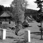 Brusírny, Lísková