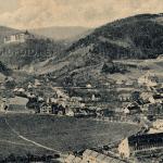 Nedvědice