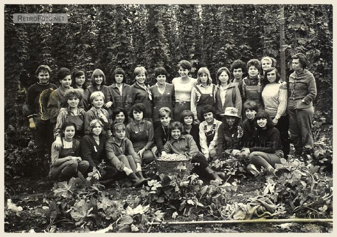 Chmelová brigáda